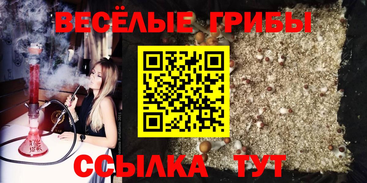 Галлюциногенные грибы MAGIC MUSHROOMS Ангарск